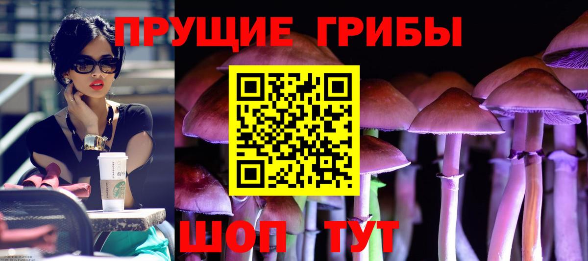 Кисловодск  Галлюциногенные грибы MAGIC MUSHROOMS  Вход с VPN 